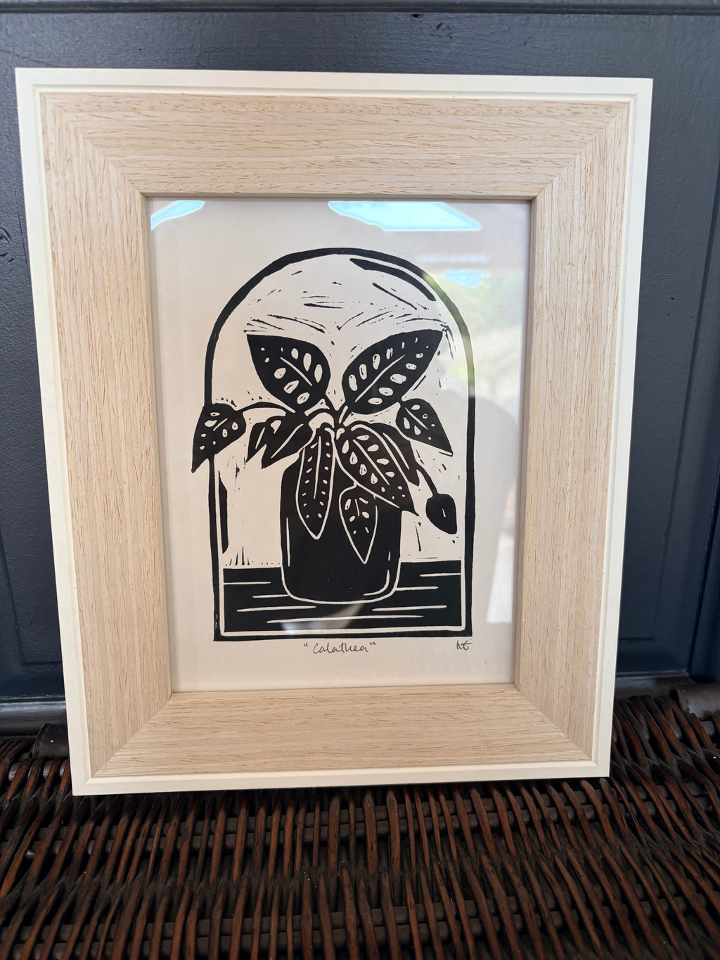 Calathea