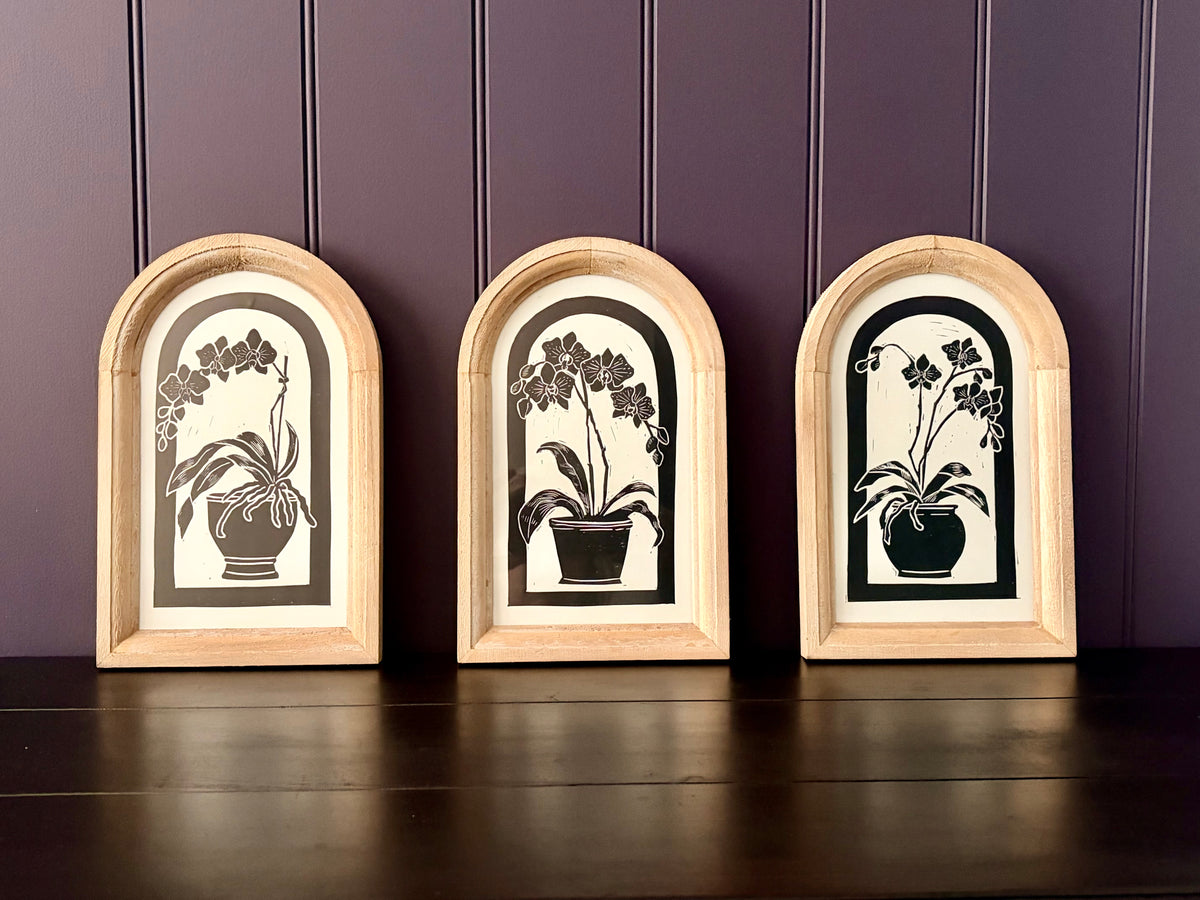 The Orchid Collection