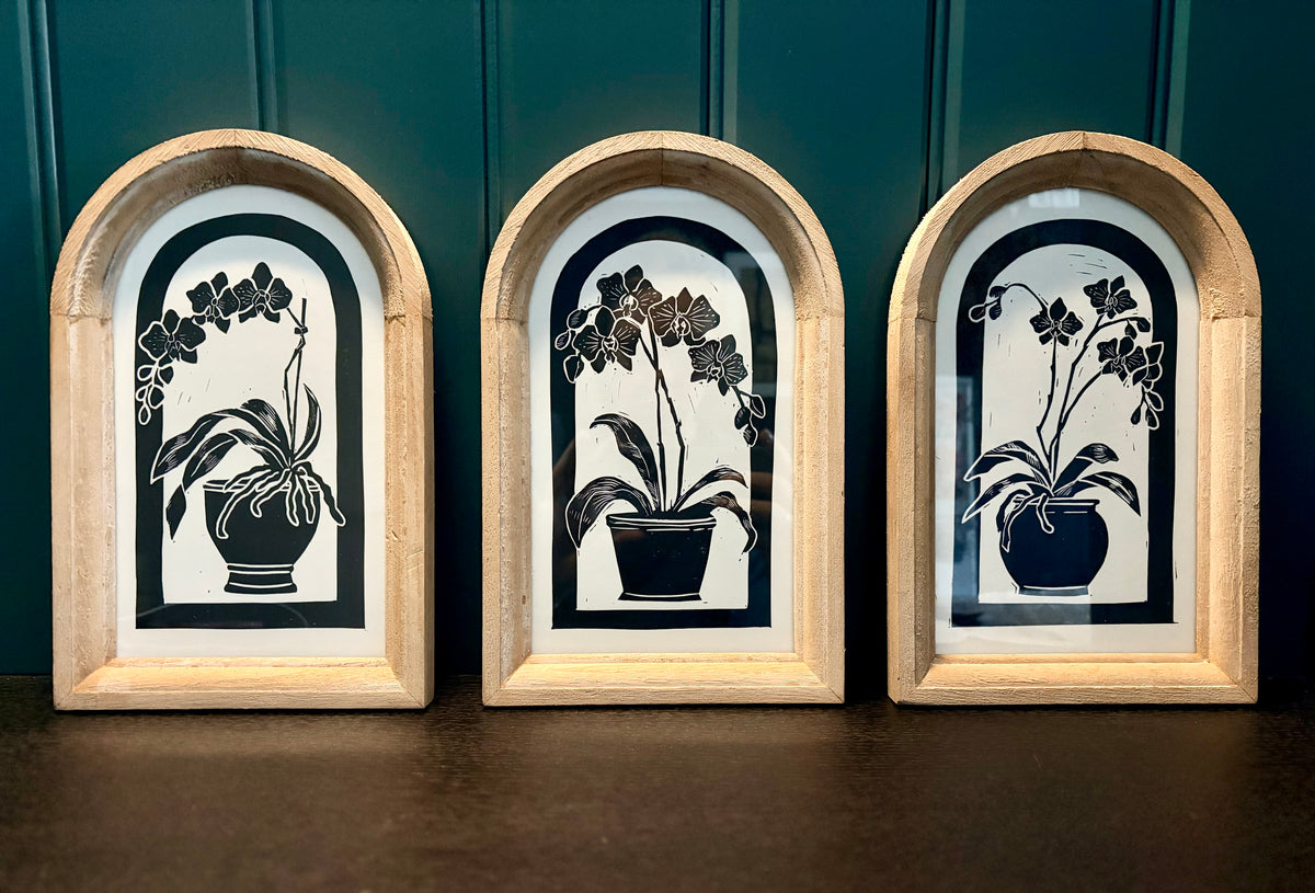 The Orchid Collection