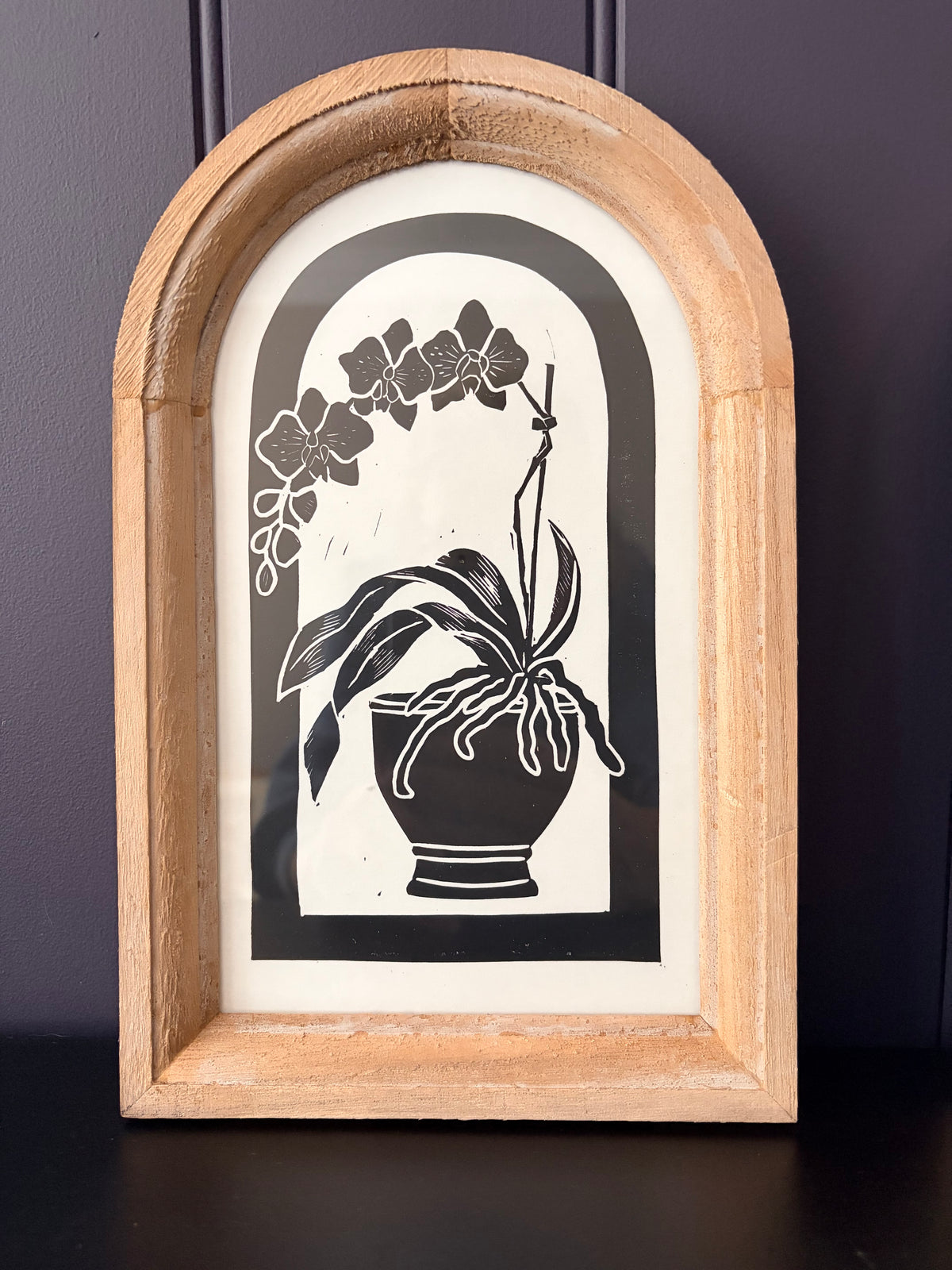 The Orchid Collection