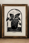 Calathea