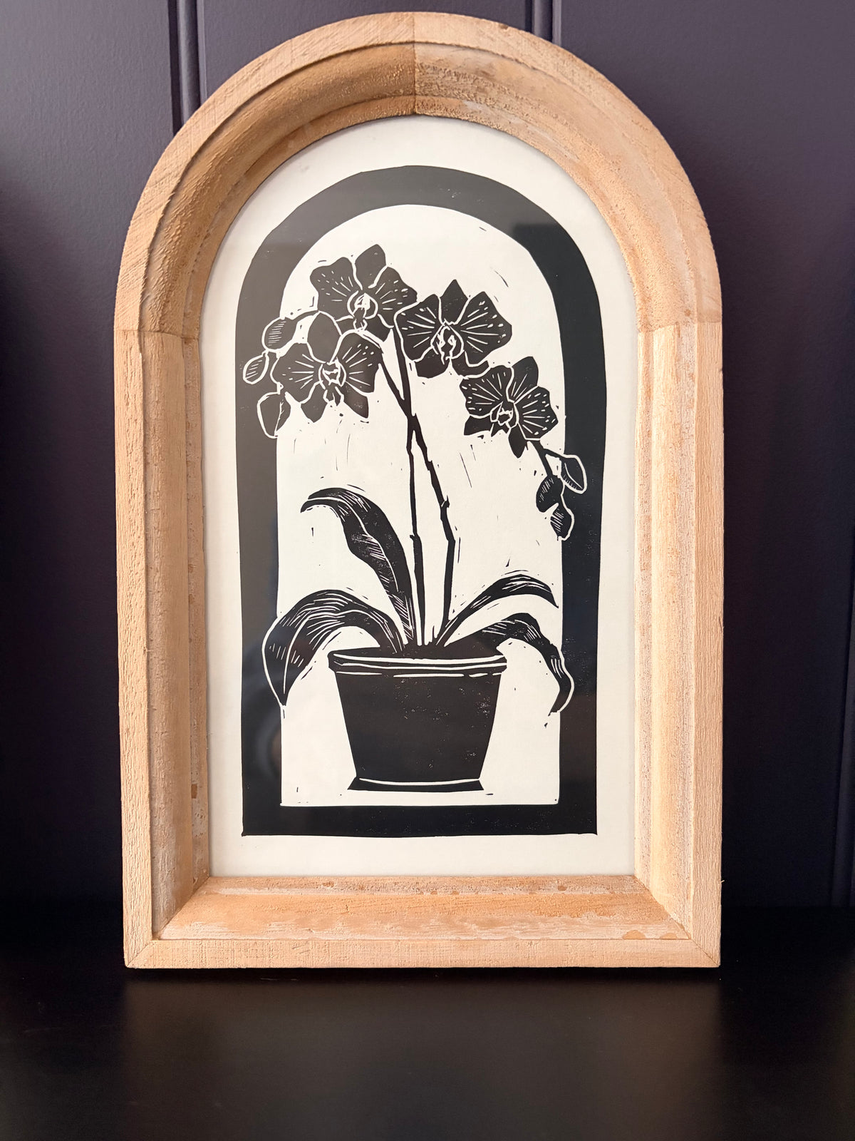 The Orchid Collection