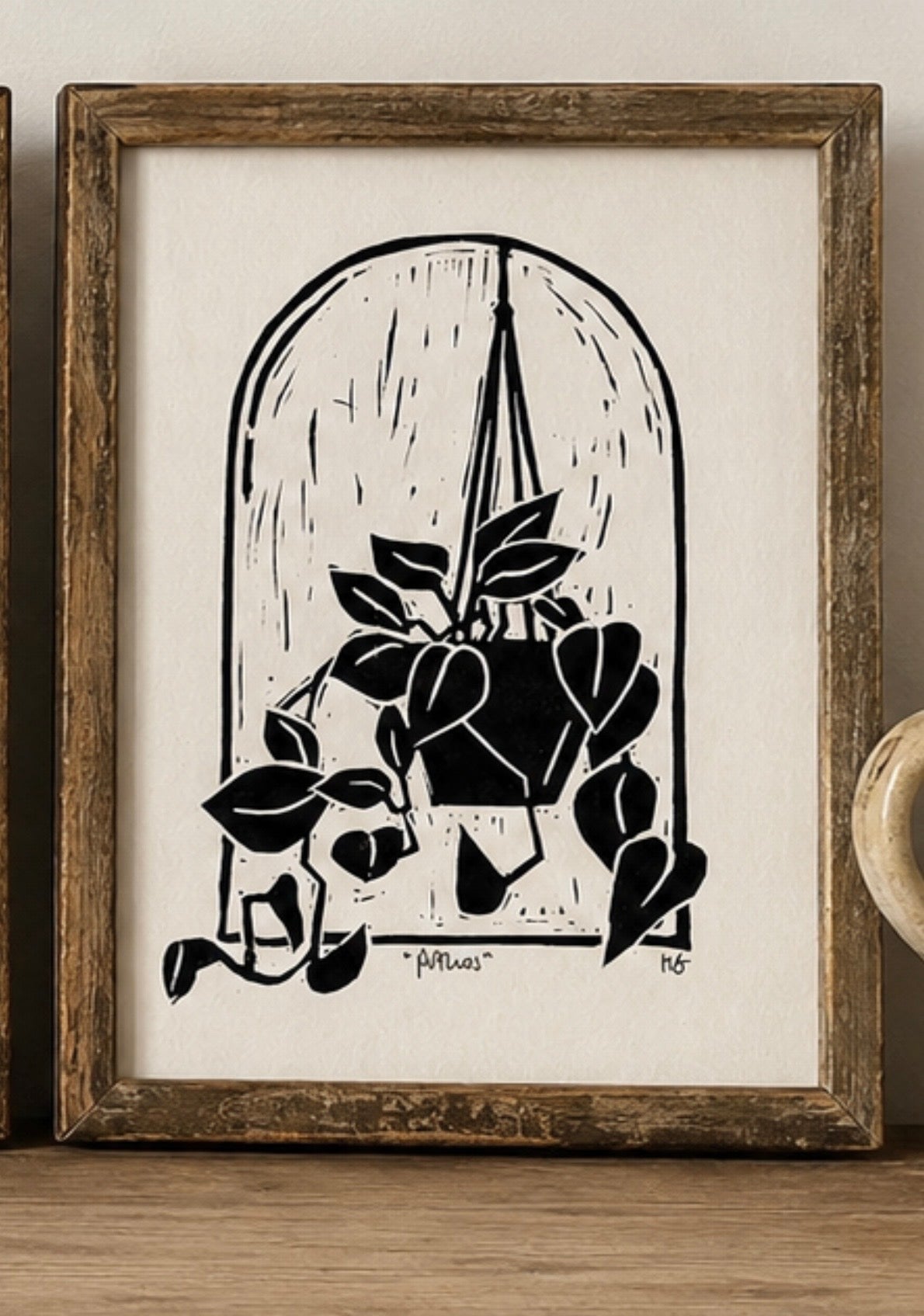 Houseplant trio