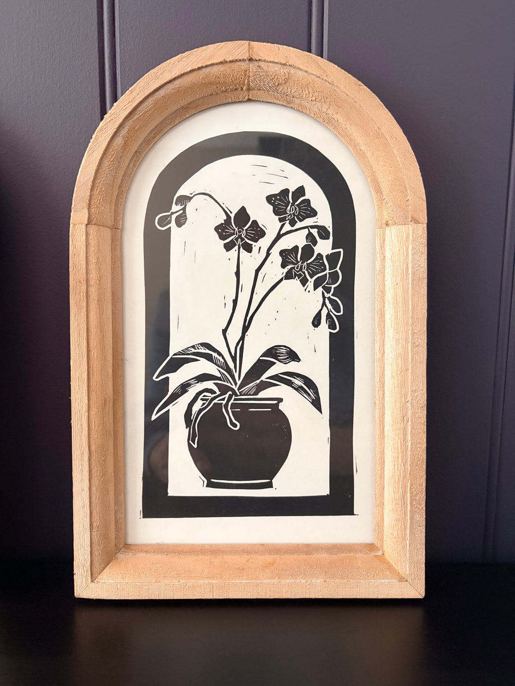 The Orchid Collection