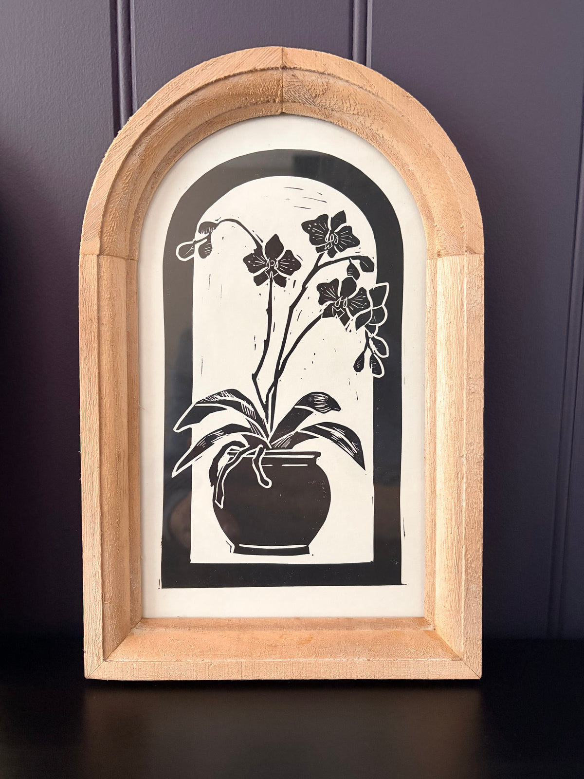 The Orchid Collection