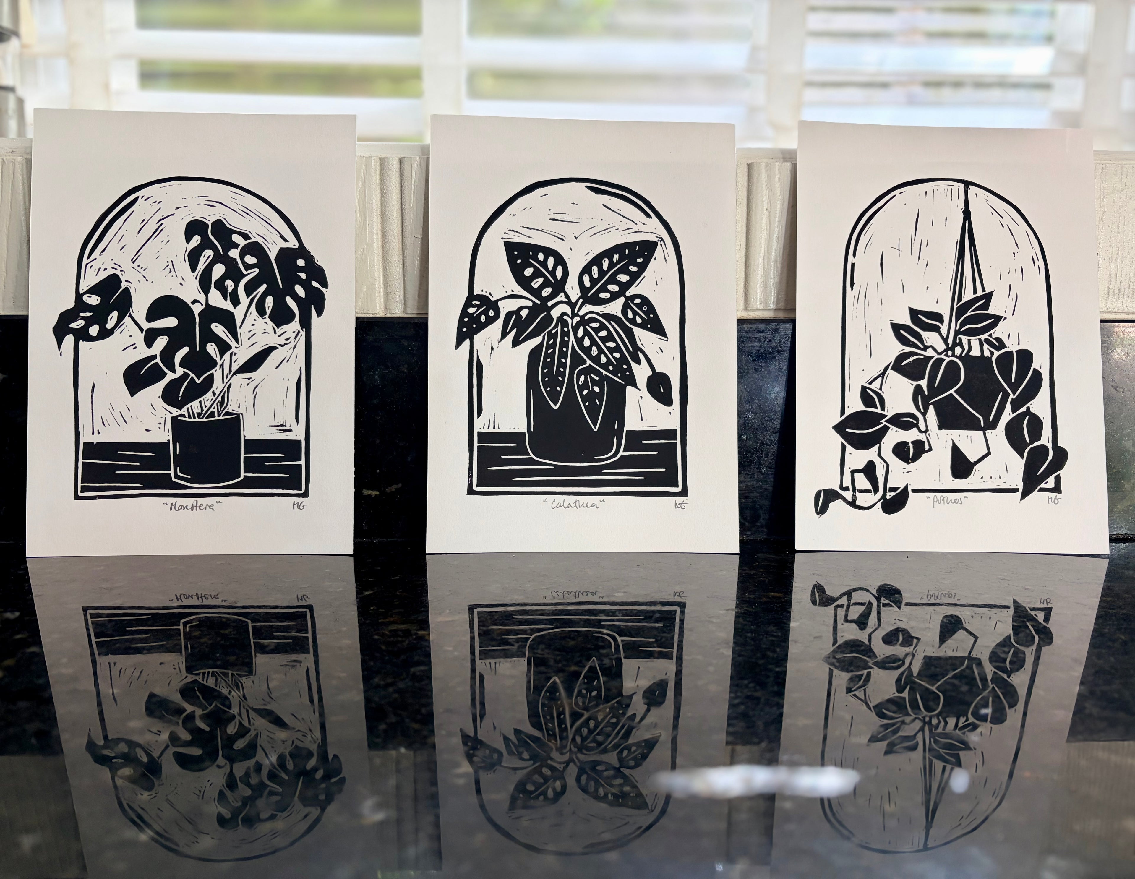 Calathea