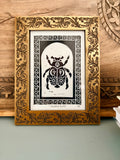 Celestial Beetle